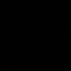 Meet your Posher, Leon